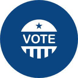 Elections Icon