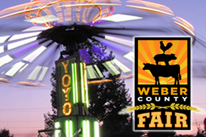 Fair / Special Event Applications